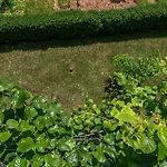 Marinella Apartman